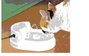 20080217224920-nuevo-imagen-de-mapa-de-bits.gif